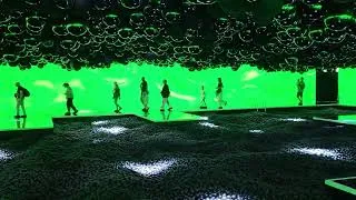 Miniature : Extrait de notre reportage à l’exposition « Euphoria » au Grand Palais