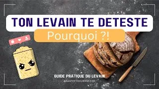 Miniature : Pourquoi ton levain te déteste ?