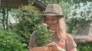 Miniature : Potager en mars : faites ceci maintenant ou il sera trop tard !