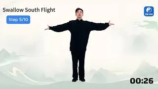 Miniature : 太极 Tai-Chi - Etirements du dos alternés