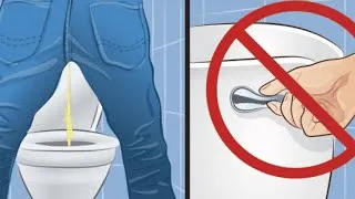 Miniature : Voici l’erreur que les gens font en tirant la chasse aux toilettes