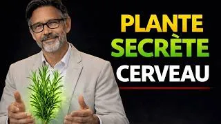 Miniature : 6 Plantes Recommandées par un Neurologue pour Renforcer le Cerveau | Bien-être Après 60 Ans