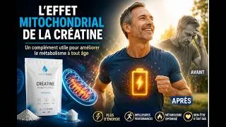 Miniature : L'effet mitochondrial de la créatine