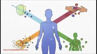Miniature : IAS : comprendre les infections associées aux soins en 5 minutes
