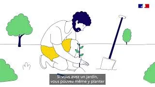 Miniature : Les plantes extérieures peuvent-elles rafraichir le logement ? [Mieux vivre avec la chaleur - Tuto]