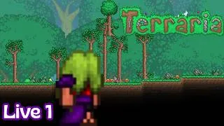 Miniature : Terraria #1 - Début d’aventure SOLO (chill, exploration & premières morts)