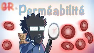 Miniature : La perméabilité des globules rouges 