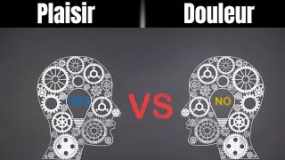 Miniature : Plaisir vs Douleur 