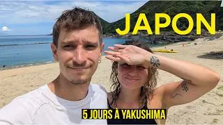 Miniature : Yakushima : on explore l'île la plus mystique du Japon 🍃 | Vlog Japon #6