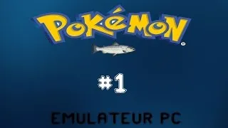 Miniature : Test Pokémon Cristal - Emulateur GBA