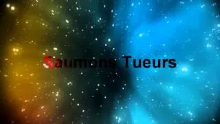 Miniature : Intro pour la chaîne !