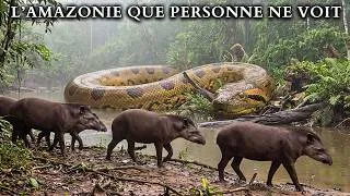 Miniature : AMAZONIE | Le Voyage vers l'Endroit le Plus Sauvage Que Personne N'a Vu | Documentaire Animalier