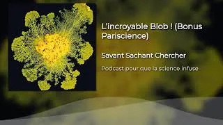 Miniature : L'incroyable Blob (podcast pariscience)
