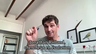 Miniature : Où trouve-t-on le plus d’espèces vivantes et pourquoi ? [Avec Jonathan Rolland]