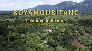 Miniature : BOYA MOUBITANG LA NOUVELLE AFRIQUE