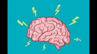 Miniature : comment fonctionne le cerveau humain