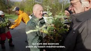 Miniature : 3ème Chantier de la Transition 2023 - Plantation d'arbres à Saint-Vital avec l'ONF