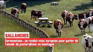 Miniature : 🏔️ Un rendez-vous européen pour parler de l’avenir du pastoralisme en montagne