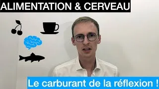 Miniature : Effets de l'alimentation sur le cerveau