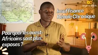 Miniature : Insuffisance rénale chronique: pourquoi  les Ivoiriens ,Béninois, nigérians ... sont plus exposés ?