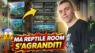 Miniature : J’agrandis ma reptile room… et ça change tout ! 🦎
