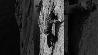 Miniature : SCARPA Blackbird