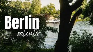 Miniature : J'ai passé une journée sans écran à Berlin 🌿 (Tarot, Forêt & Bibliothèque)