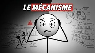 Miniature : Ce mécanisme mental contrôle tous tes achats