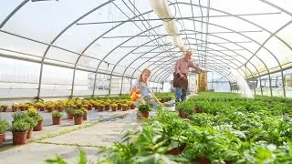 Miniature : Film de marque Schilliger - Printemps 2025 - Format court