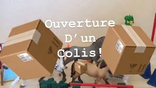 Miniature : Ouverture d’un Colis! 📦