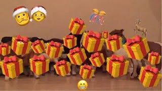 Miniature : Présentation de mes cadeaux de Noël!🎁