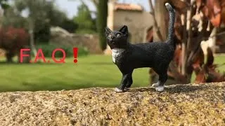 Miniature : Organisation D’une Nouvelle F.A.Q!❤️