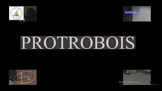 Miniature : Projet PROTROBOIS Cameroun - Recherches sur le bois, resultats et perspectives