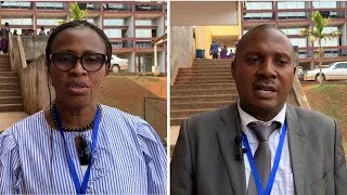 Miniature : Les Maths et l'art au Cameroun