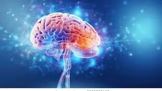 Miniature : Le Cerveau Humain Dévoilé : Fonctionnement, Secrets et Capacités  #Cerveau #FonctionnementCérébral