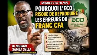 Miniature : ECO : LES ERREURS DE CONCEPTION QUI INQUIÈTENT LES ÉCONOMISTES - L'ALERTE PRECOCE DE NDONGO S. SYLLA