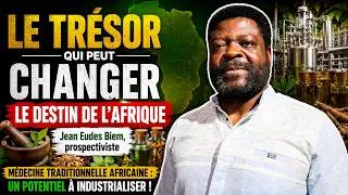 Miniature : L'AFRIQUE POSSÈDE DÉJÀ LES MÉDICAMENTS DE DEMAIN… MAIS LES IGNORE  - JEAN-EUDES BIEM.
