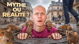 Miniature : Les rats envahissent-ils nos villes ? (je visite les égouts pour le savoir)