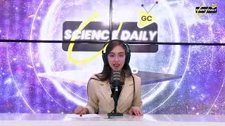 Miniature : نشرة الأخبار الرئيسية لليوم 24/10/2024
