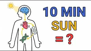 Miniature : Vitamine D - Ce que ton médecin ne te dit pas
