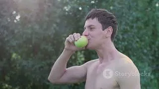 Miniature : Pourquoi les fruits sont sucrés