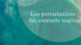 Miniature : Les perturbations des courants marins