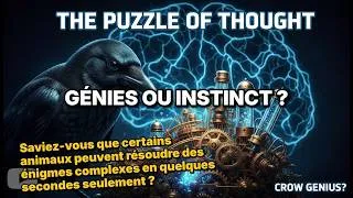 Miniature : Le secret de l'intelligence animale : Comment ils apprennent si vite