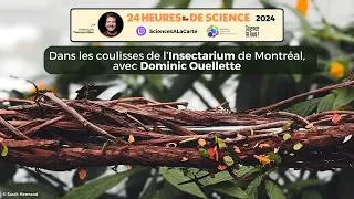 Miniature : Dans les coulisses de l'Insectarium de Montréal - Festival 24 heures de science 2024