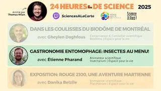 Miniature : Gastronomie entomophage : insectes au menu - Festival 24 heures de science 2025