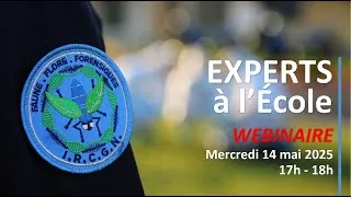 Miniature : EXPERTS à l'École - Webinaire 14 mai 2025
