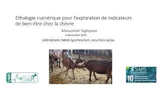 Miniature : Ethologie numérique pour caractérisation des indicateurs de bien-être chez la chèvre