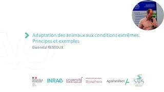 Miniature : Adaptations animales aux conditions climatiques extrêmes