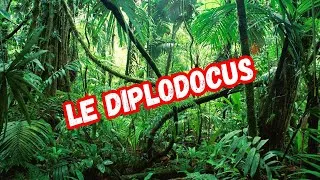 Miniature : DIPLODOCUS : LA VIE D'UN DINOSAURE GÉANT 🦕 I DINOSAURES 🦖