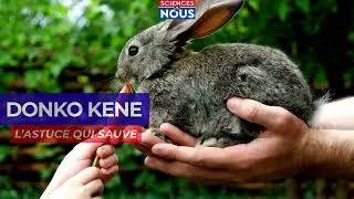 Miniature : Bien nourrire les animaux Commence par bien connaître leurs aliments
